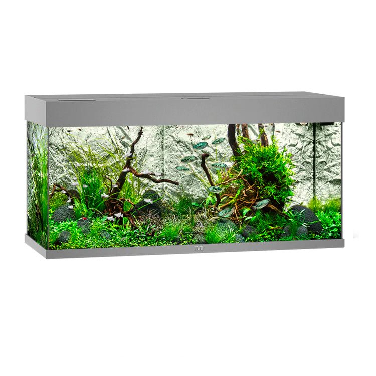 Juwel Rio 180 LED Aquarium Only - Grey - Charterhouse Aquatics