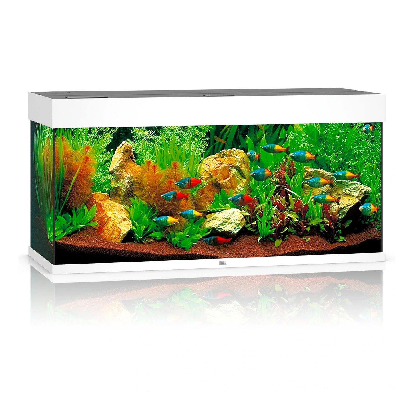 Juwel Rio 180 LED Aquarium Only - White - Charterhouse Aquatics