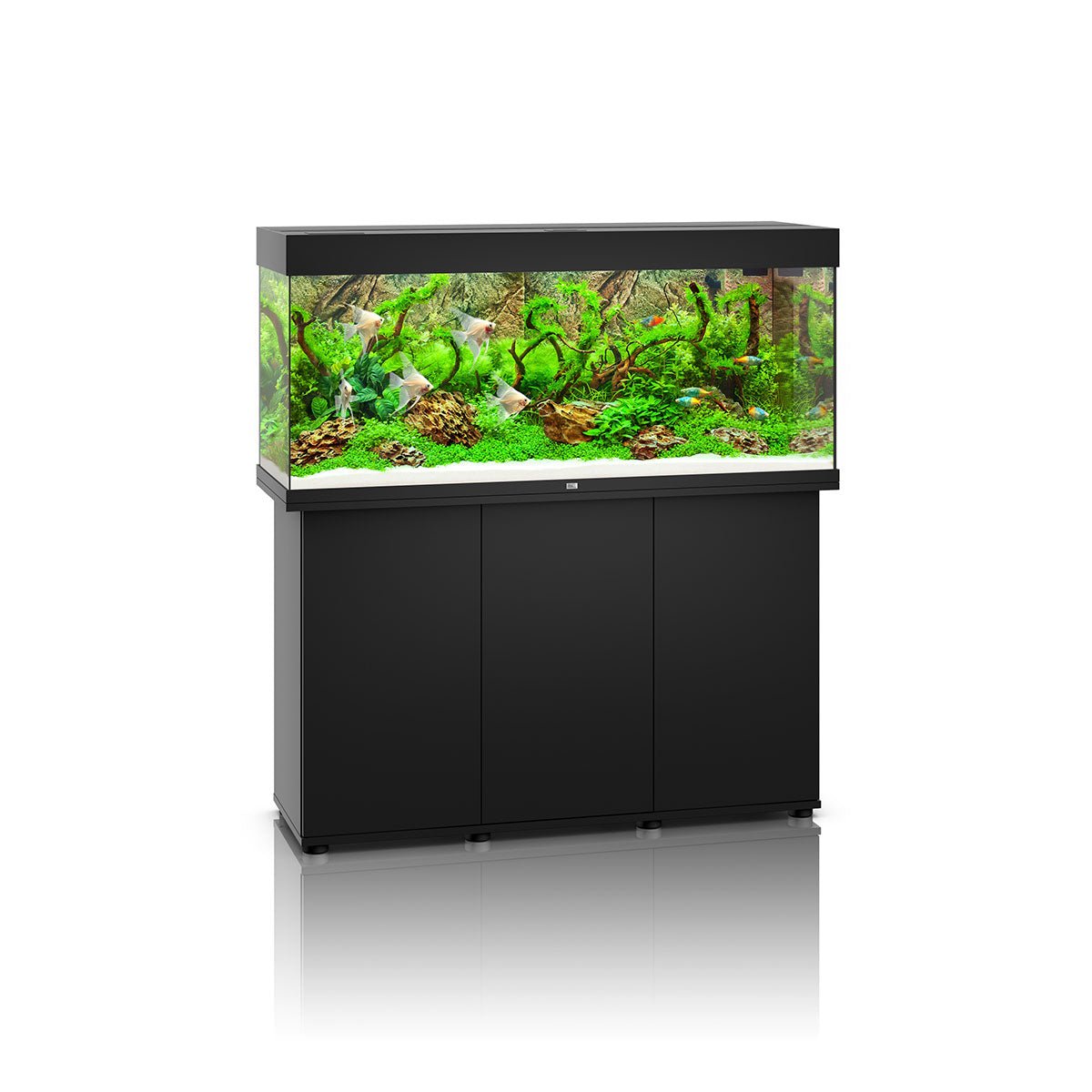 Juwel Rio 240 LED Aquarium and Cabinet (Black) - Charterhouse Aquatics