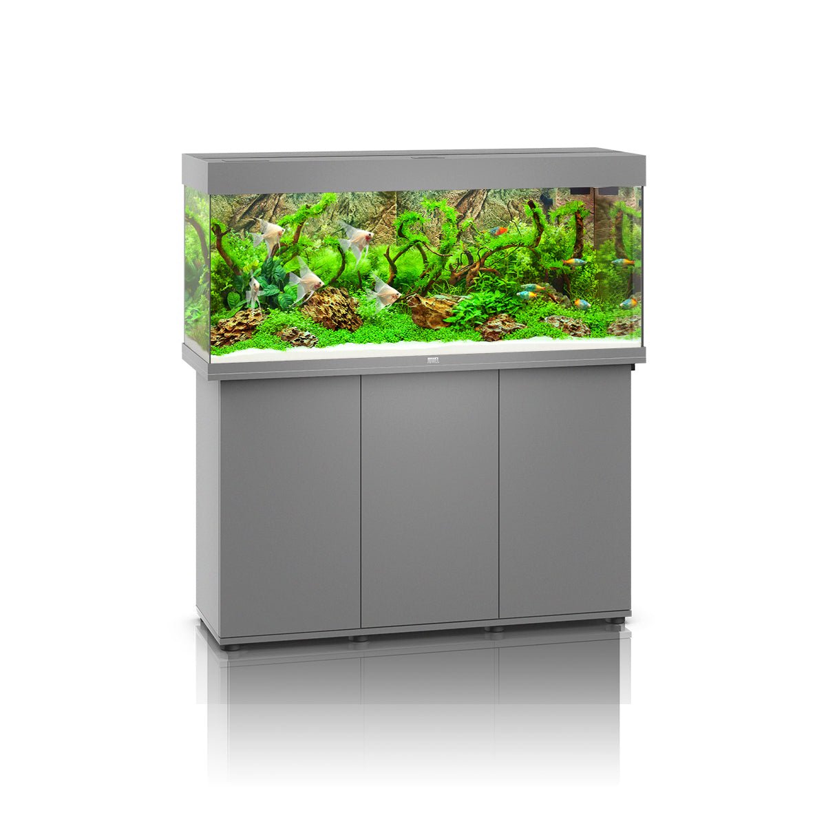 Juwel Rio 240 LED Aquarium and Cabinet (Grey) - Charterhouse Aquatics