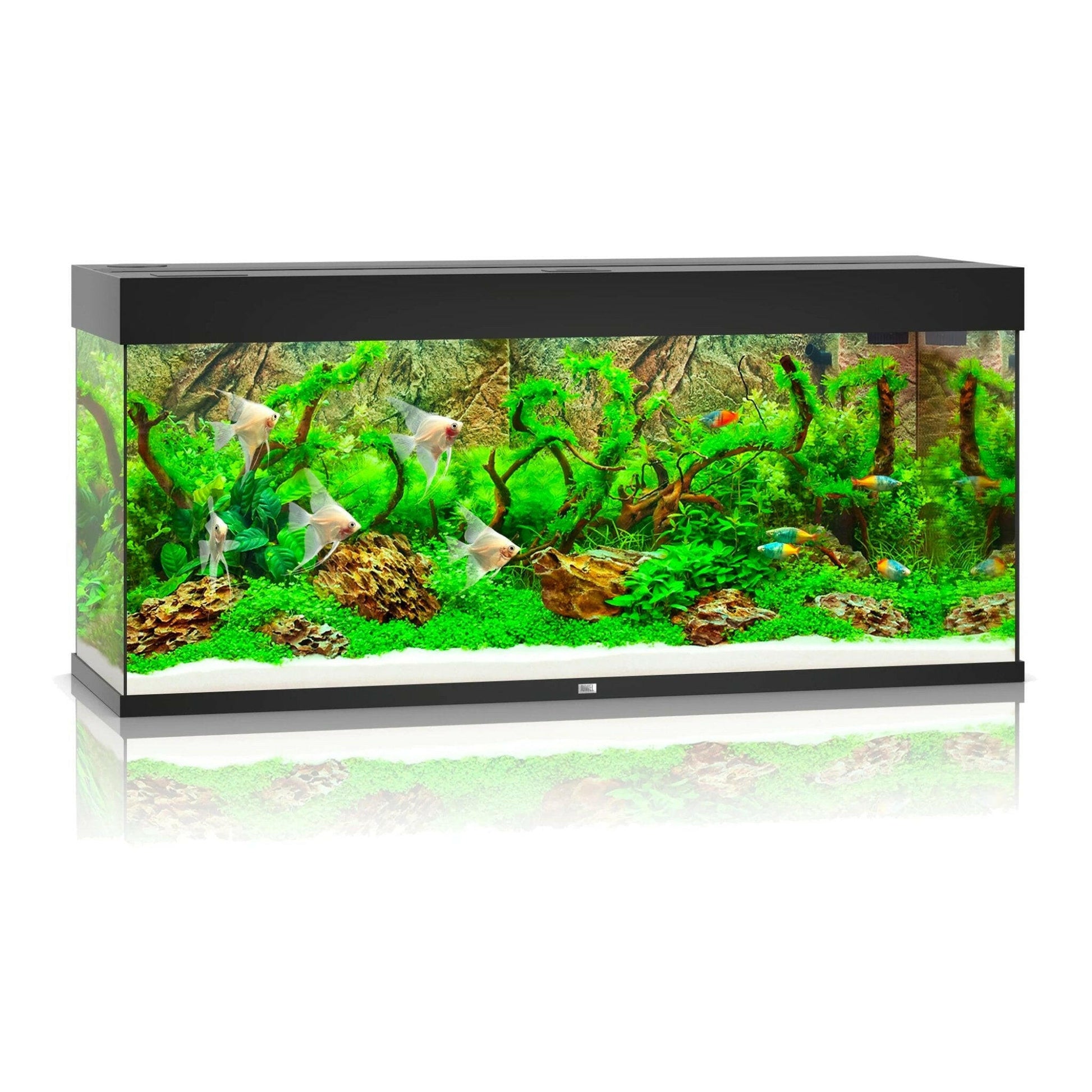 Juwel Rio 240 LED Aquarium Only - Black - Charterhouse Aquatics