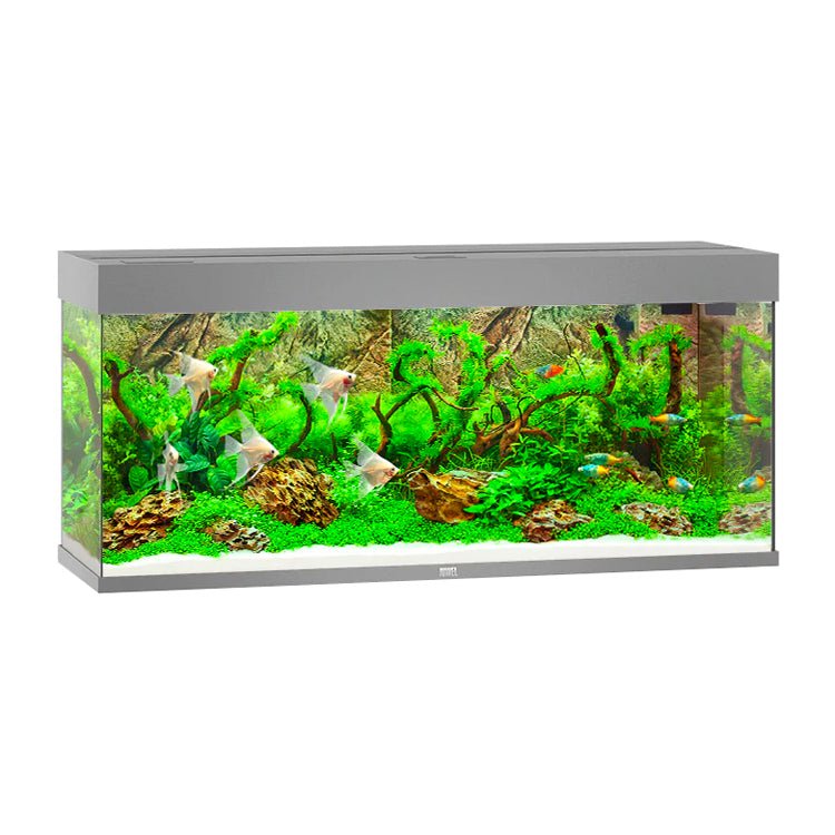 Juwel Rio 240 LED Aquarium Only - Grey - Charterhouse Aquatics