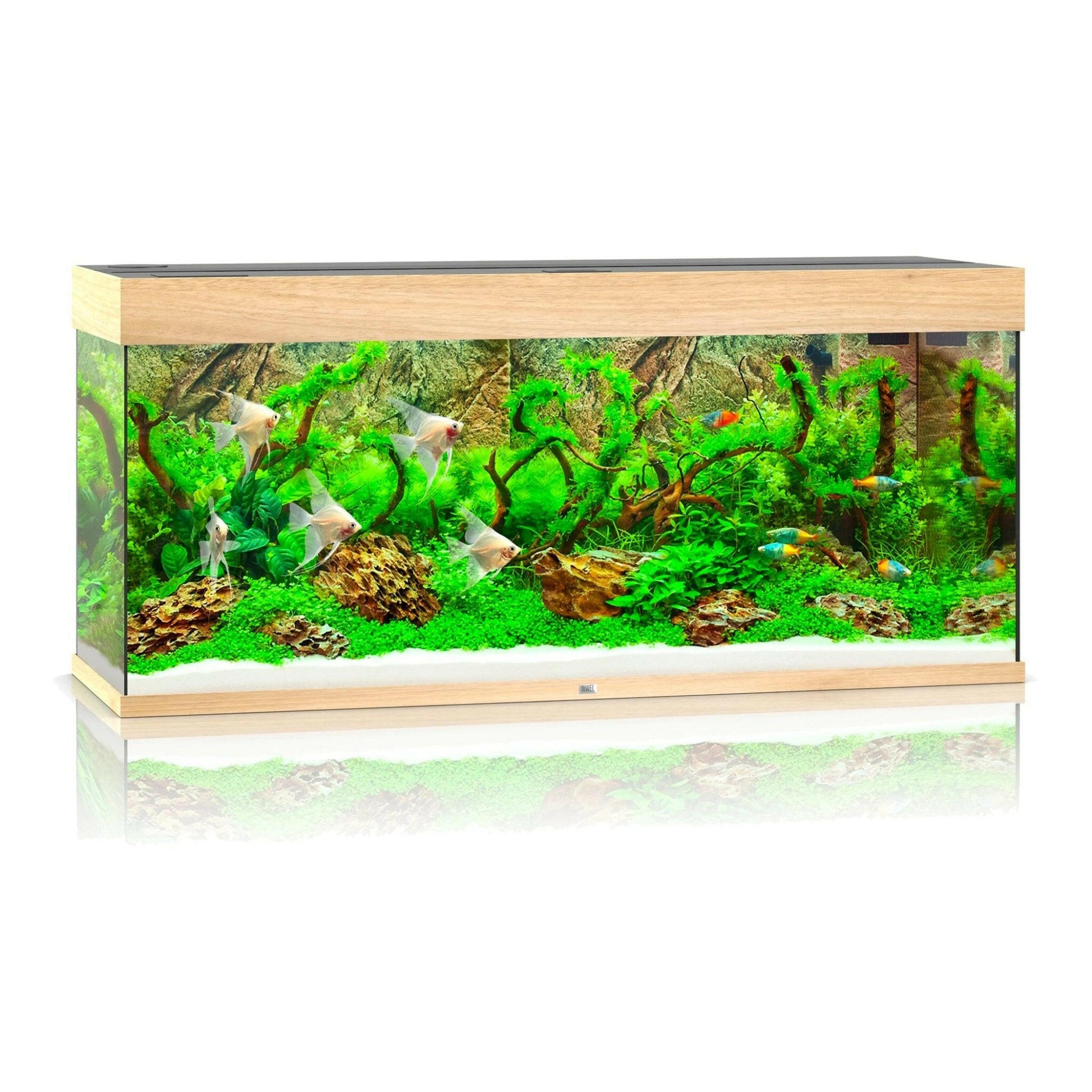 Juwel Rio 240 LED Aquarium Only - Light Wood - Charterhouse Aquatics