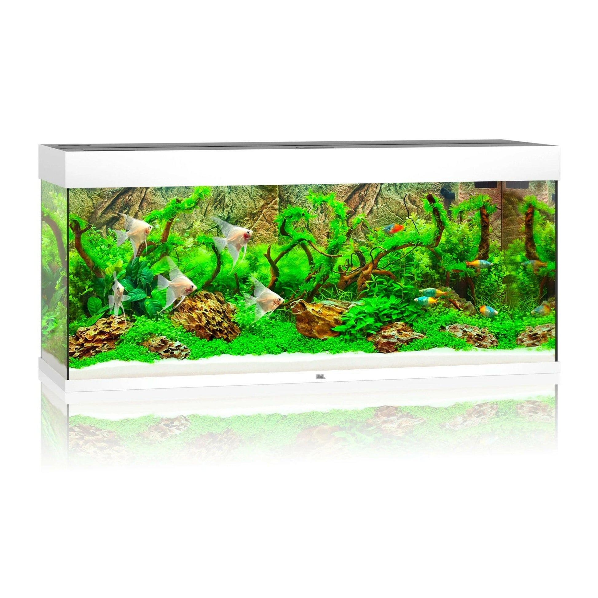 Juwel Rio 240 LED Aquarium Only - White - Charterhouse Aquatics