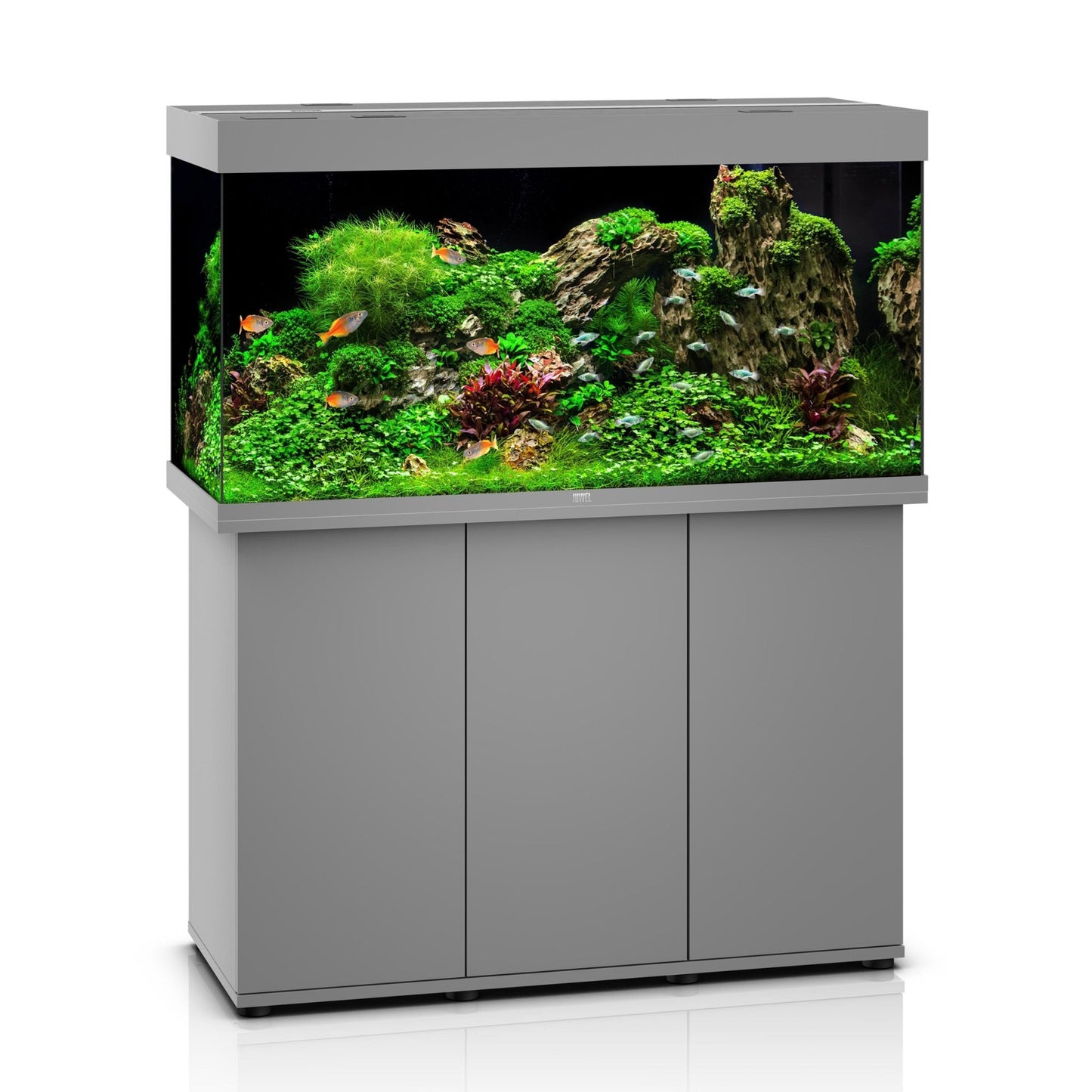 Juwel Rio 350 LED Aquarium and Cabinet (Grey) - Charterhouse Aquatics