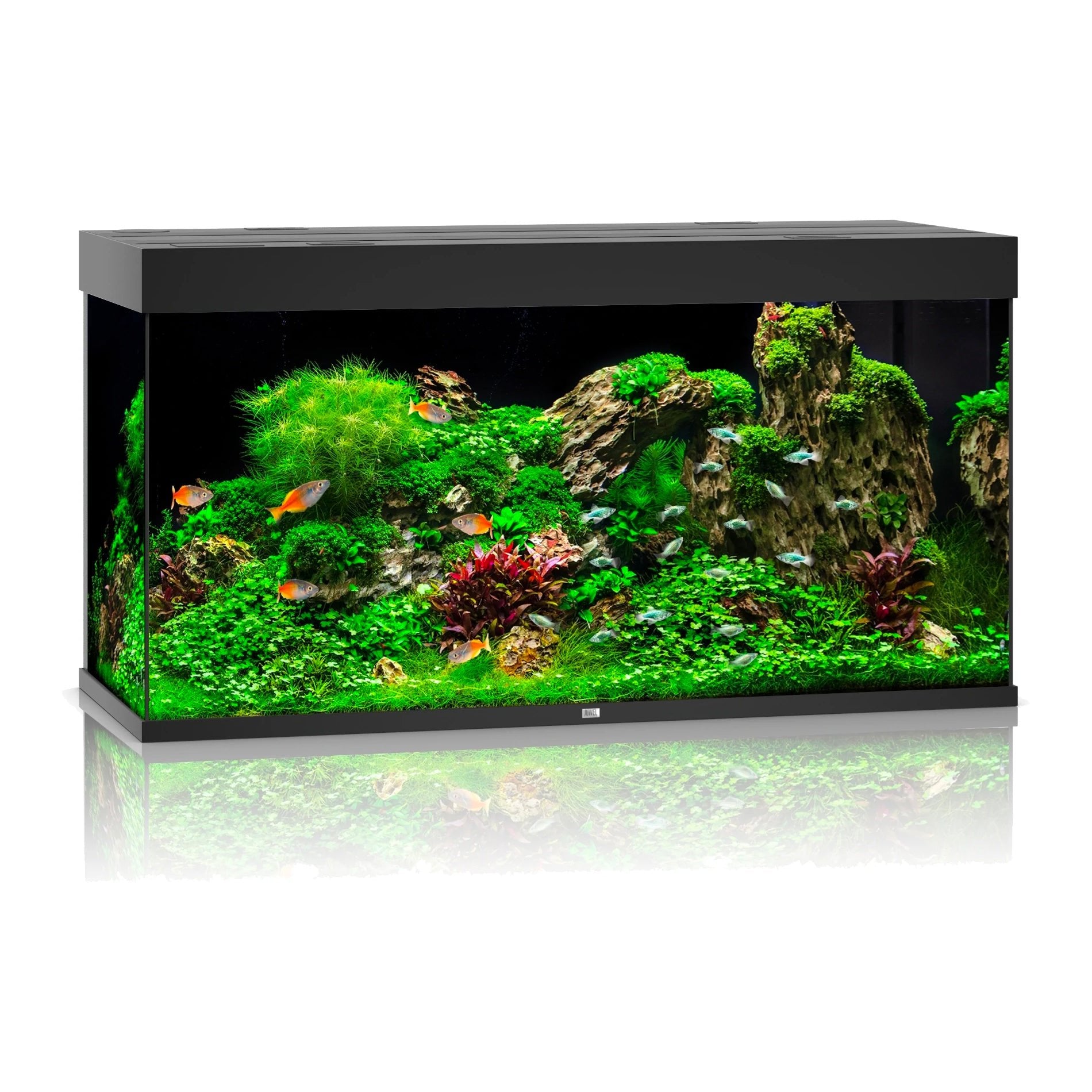 Juwel Rio 350 LED Aquarium Only - Black - Charterhouse Aquatics