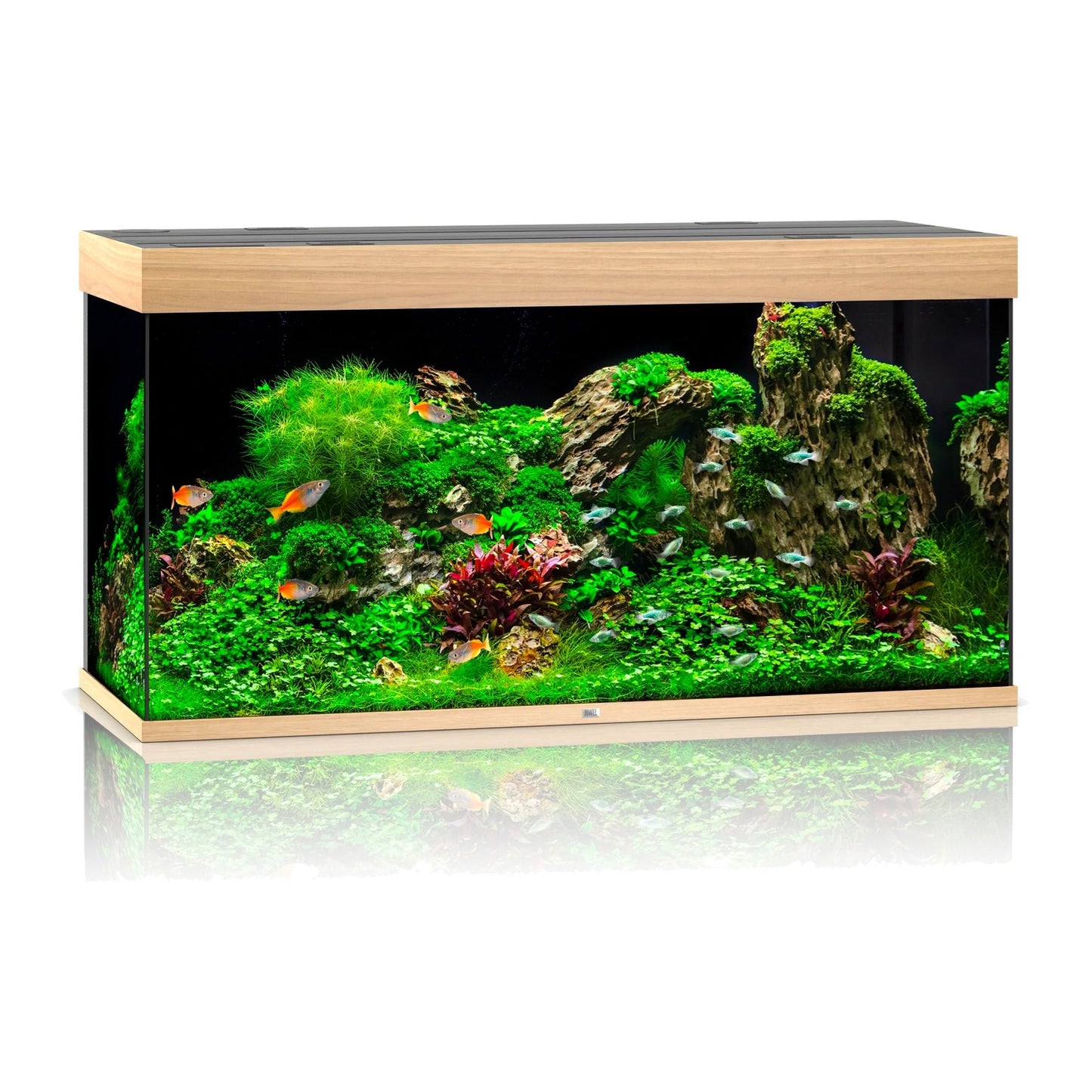 Juwel Rio 350 LED Aquarium Only - Light Wood - Charterhouse Aquatics