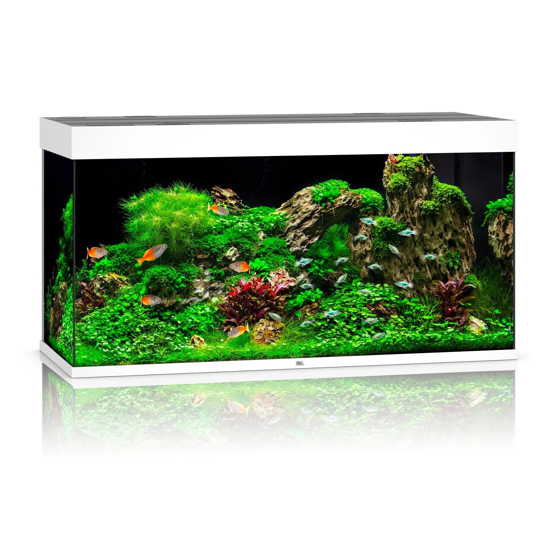 Juwel Rio 350 LED Aquarium Only - White - Charterhouse Aquatics