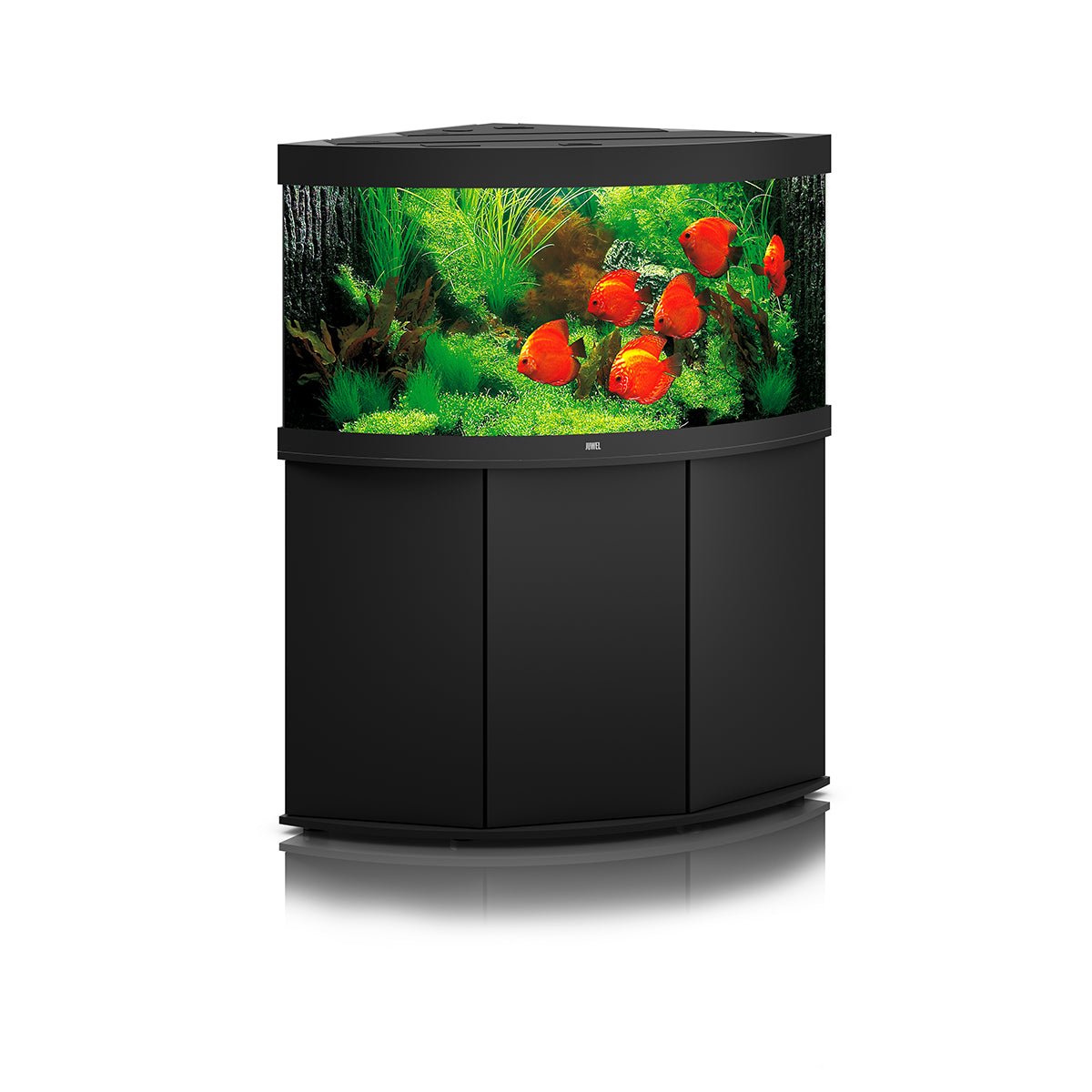 Juwel Trigon 350 LED Aquarium and Cabinet (Black) - Charterhouse Aquatics