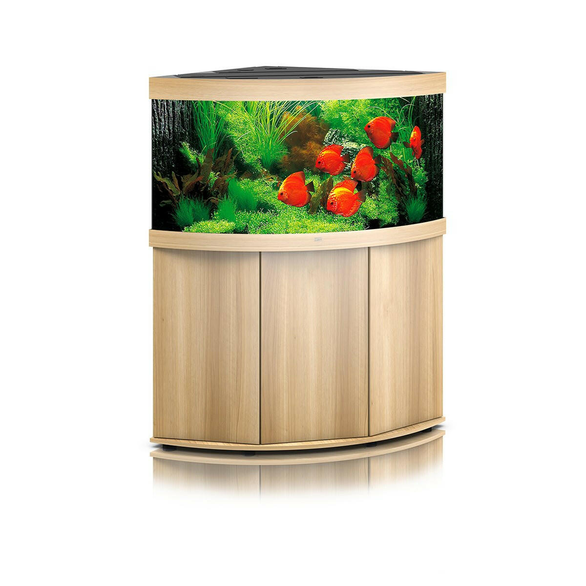 Juwel Trigon 350 LED Aquarium and Cabinet (Light Wood) - Charterhouse Aquatics