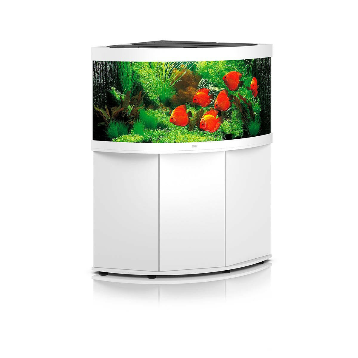 Juwel Trigon 350 LED Aquarium and Cabinet (White) - Charterhouse Aquatics