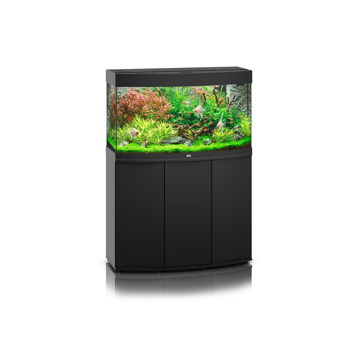 Juwel Vision 180 LED Aquarium and Cabinet (Black) - Charterhouse Aquatics