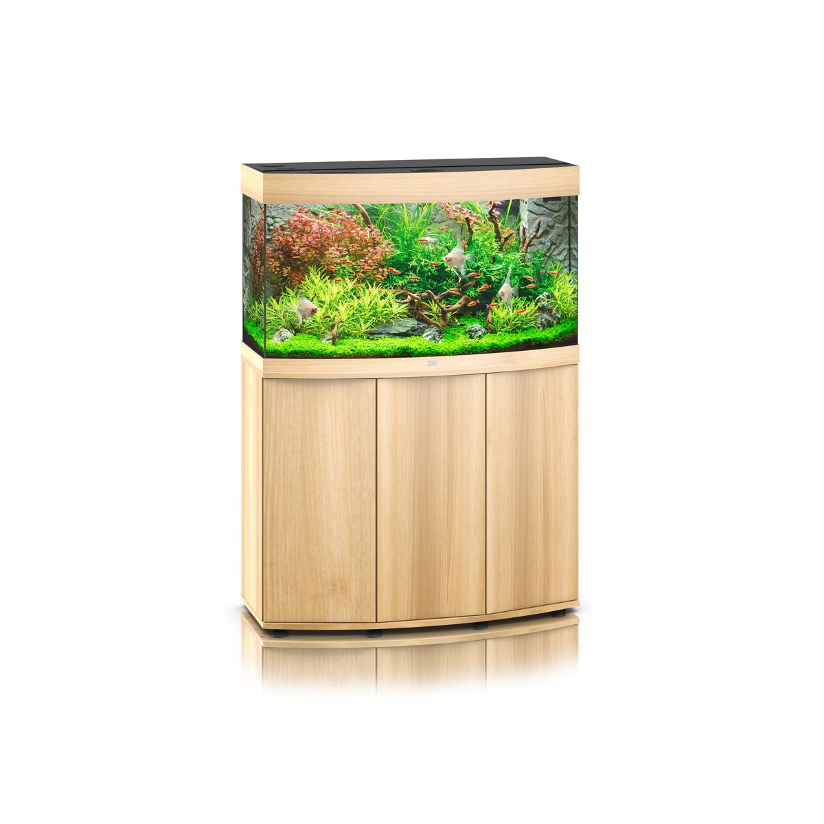 Juwel Vision 180 LED Aquarium and Cabinet (Light Wood) - Charterhouse Aquatics