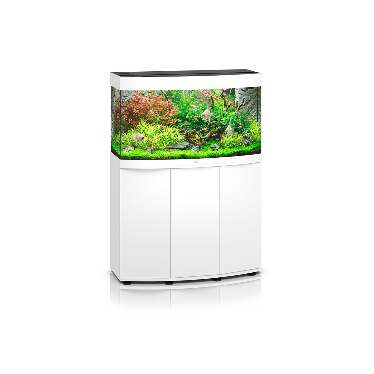 Juwel Vision 180 LED Aquarium and Cabinet (White) - Charterhouse Aquatics