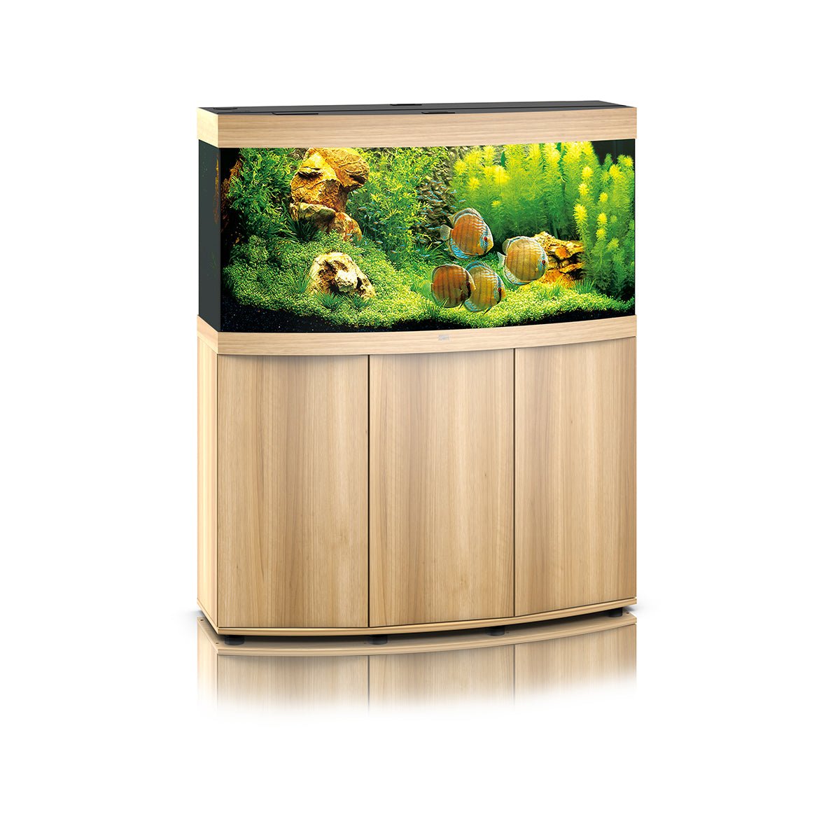 Juwel Vision 260 LED Aquarium and Cabinet (Light Wood) - Charterhouse Aquatics