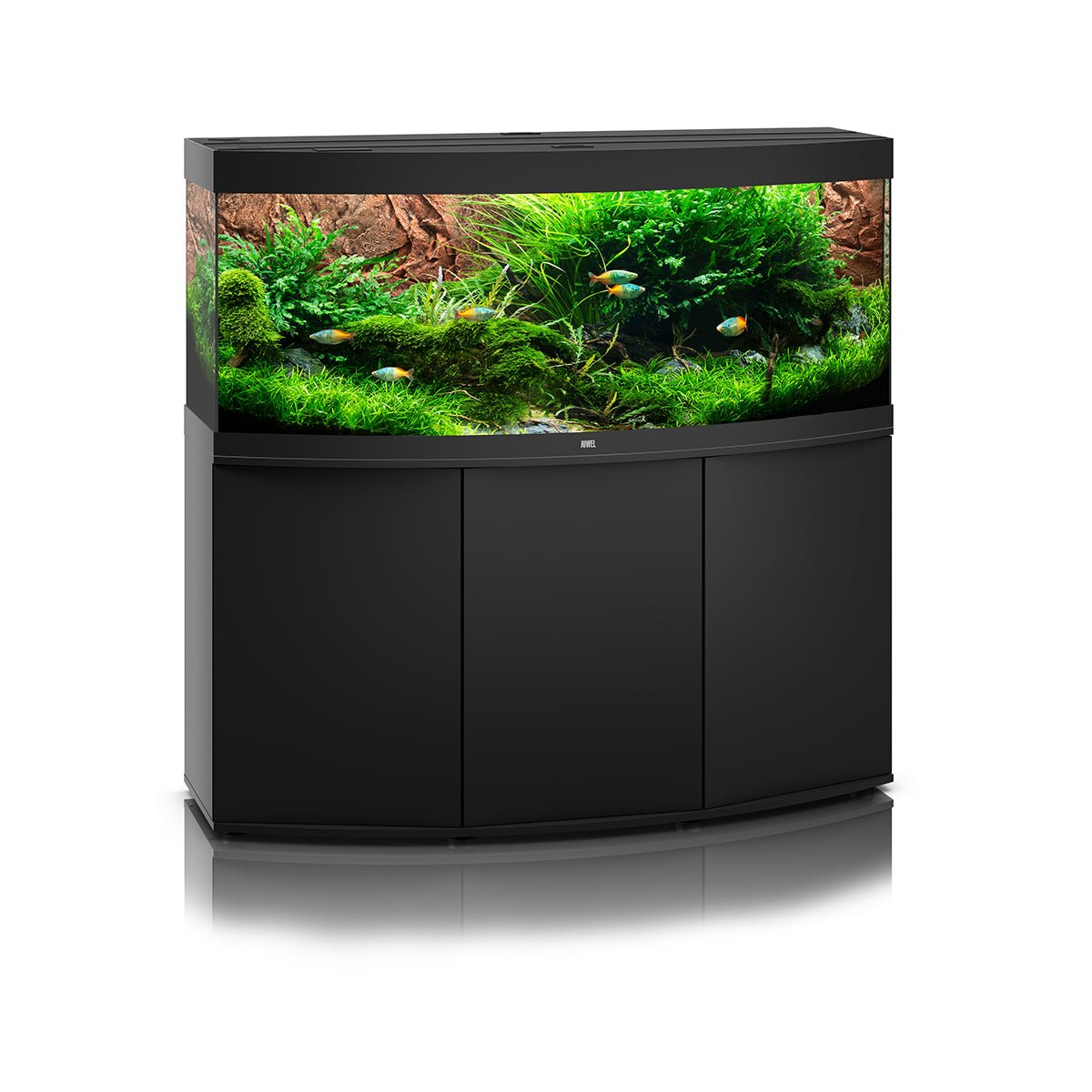 Juwel Vision 450 LED Aquarium and Cabinet (Black) - Charterhouse Aquatics