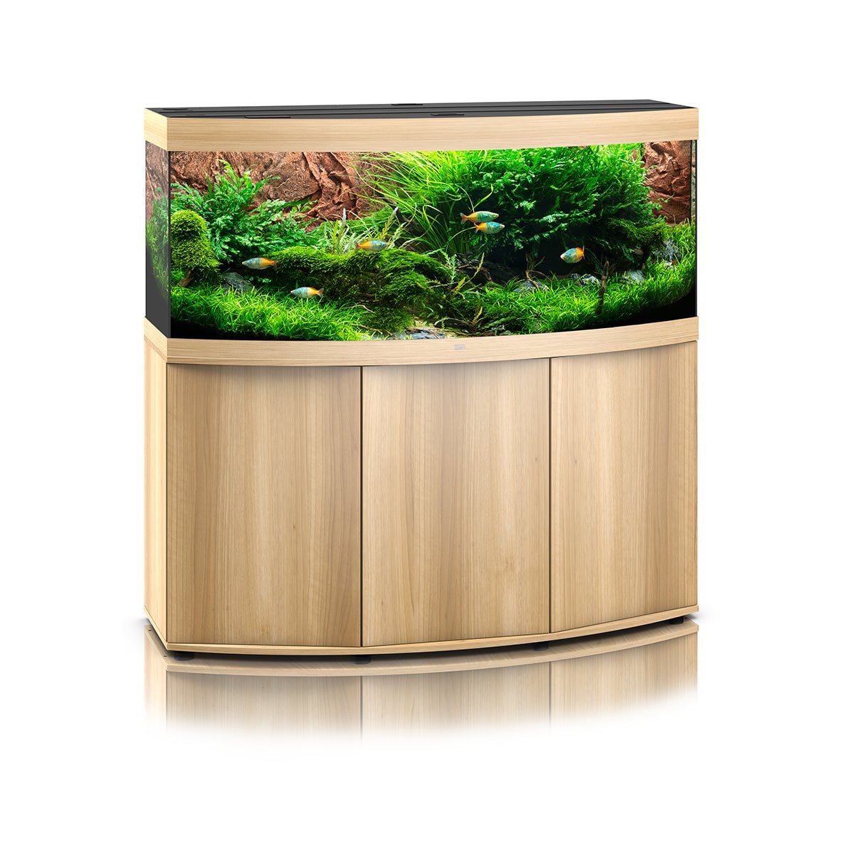Juwel Vision 450 LED Aquarium and Cabinet (Light Wood) - Charterhouse Aquatics