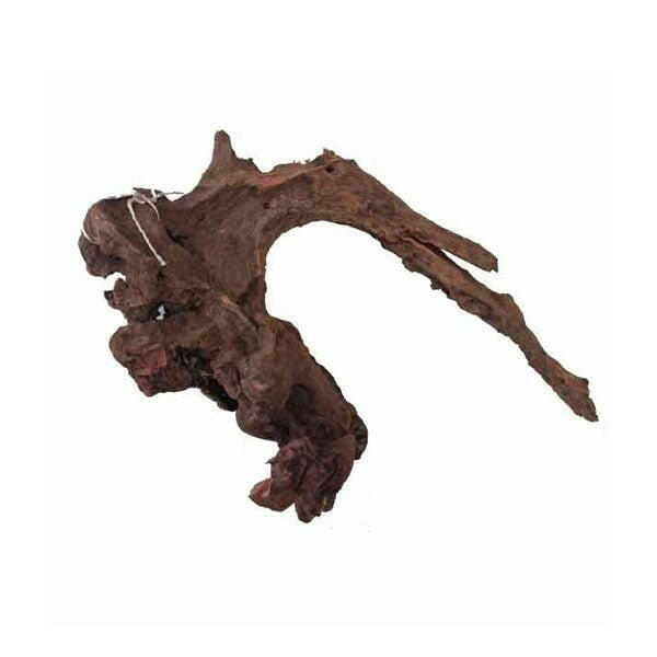 Kannabi Wood - 23-35cm - Charterhouse Aquatics