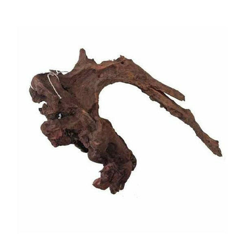 Kannabi Wood - 35-45cm - Charterhouse Aquatics