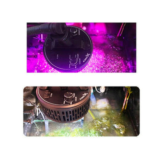 Kessil A360x Refugium - Charterhouse Aquatics
