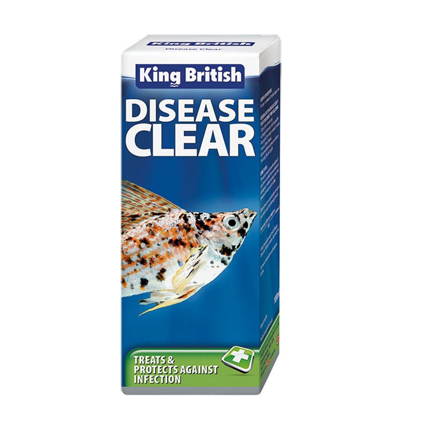 King British Disease Clear No.11 (100ml) - Charterhouse Aquatics