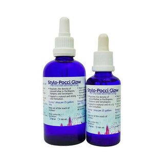 Korallen Zucht Stylo Pocci Glow 50ml - Charterhouse Aquatics