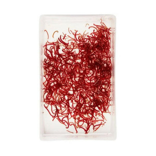 LIVE Bloodworm LARGE (100ml) - Charterhouse Aquatics
