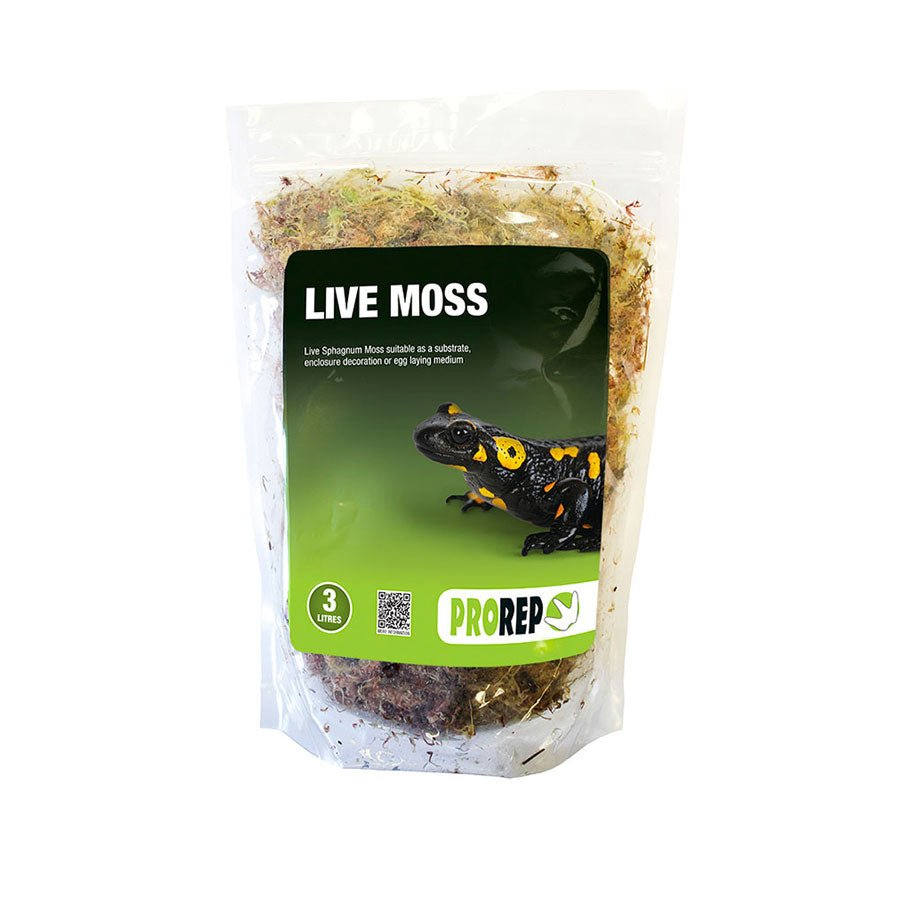Live Moss (3L) - Charterhouse Aquatics