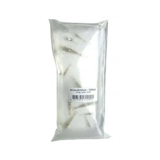 LIVE River Shrimp (100ml) - Charterhouse Aquatics