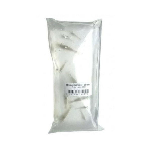 LIVE River Shrimp (100ml) - Charterhouse Aquatics