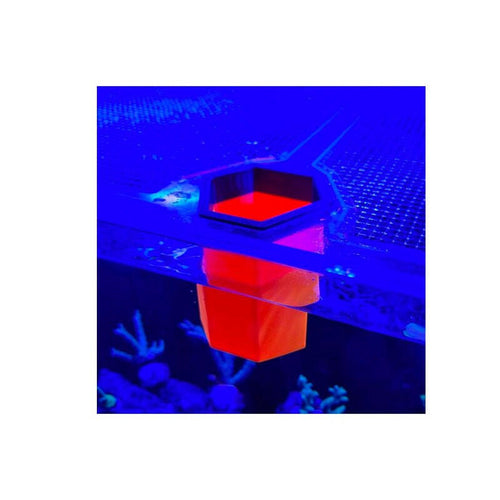 London Aquatic Design Pro Cube/Pellet Feeder - Fluorescent Orange - Charterhouse Aquatics