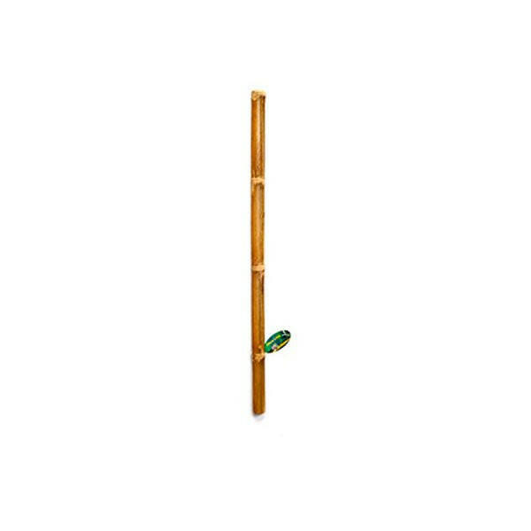 Lucky Reptile Bamboo Stick 5cm x 1m - Charterhouse Aquatics