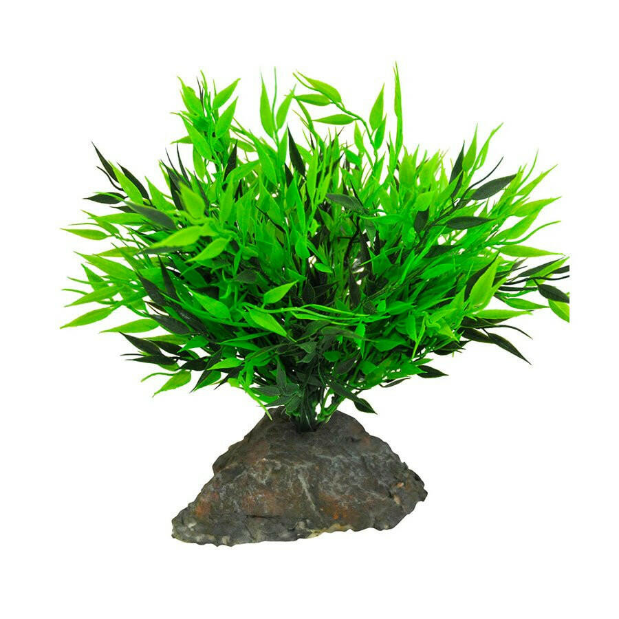 Lucky Reptile Bamboo Tuft - Charterhouse Aquatics