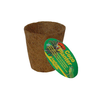 Lucky Reptile Coco Planter 1.5L Medium - Charterhouse Aquatics