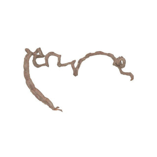 Lucky Reptile Corkscrew Liana Small - Charterhouse Aquatics