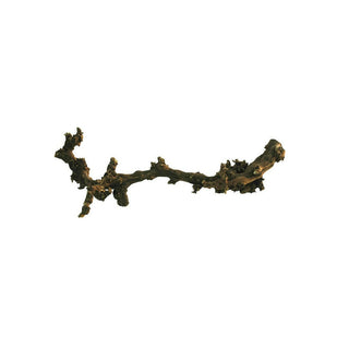 Lucky Reptile Dark Grapevine Medium - Charterhouse Aquatics