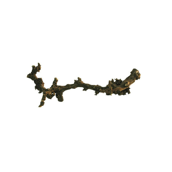 Lucky Reptile Dark Grapevine Medium - Charterhouse Aquatics