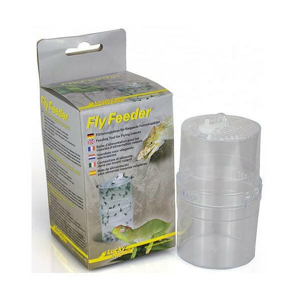 Lucky Reptile Fly Feeder - Charterhouse Aquatics