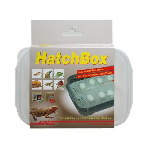 Lucky Reptile HatchBox - Charterhouse Aquatics