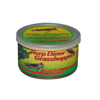 Lucky Reptile Herp Diner Grasshoppers Med - Charterhouse Aquatics