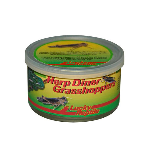 Lucky Reptile Herp Diner Grasshoppers Med - Charterhouse Aquatics