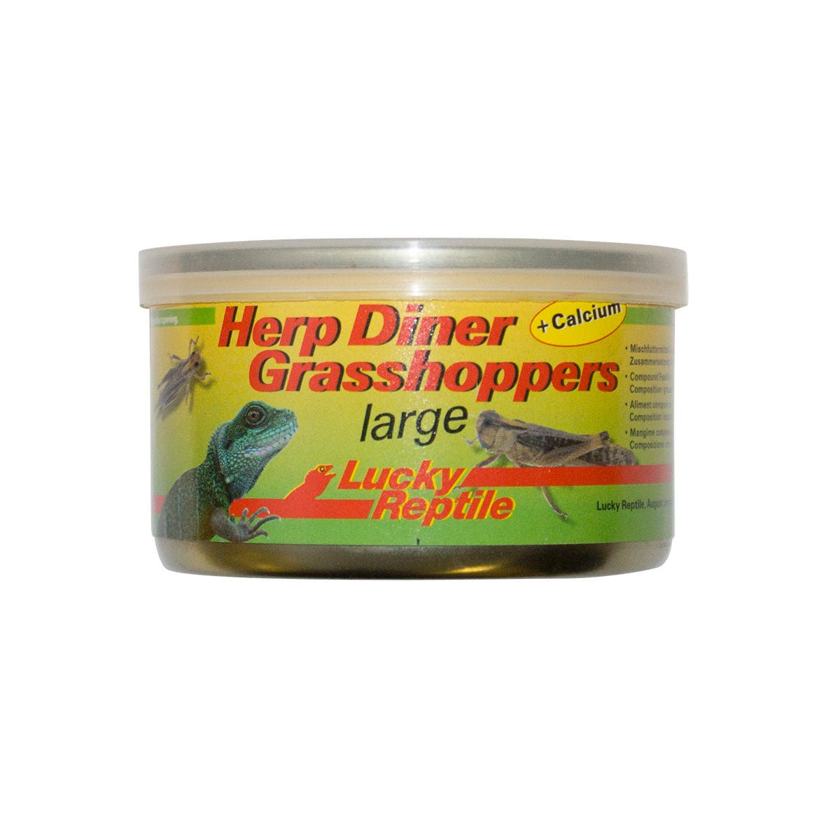 Lucky Reptile Herp Diner Large Grasshoppers 35g - Charterhouse Aquatics