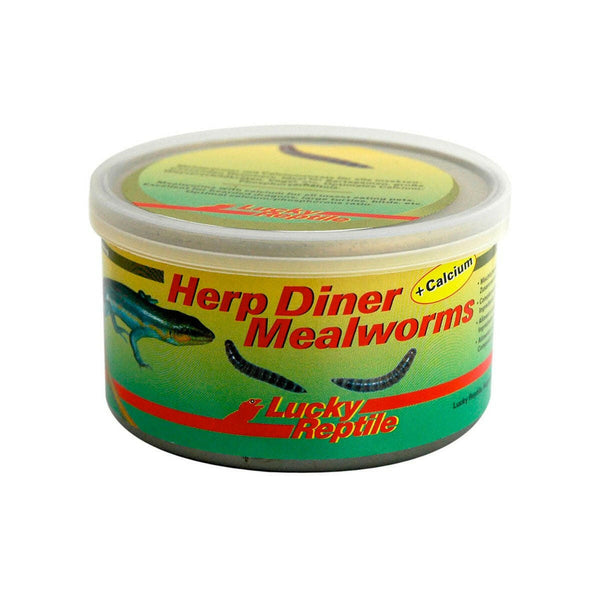 Lucky Reptile Herp Diner Mealworms + Calcium - Charterhouse Aquatics