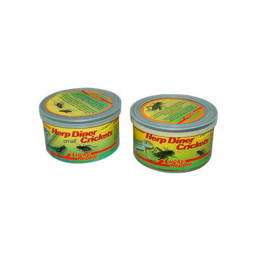 Lucky Reptile Herp Diner Small Crickets 35g - Charterhouse Aquatics