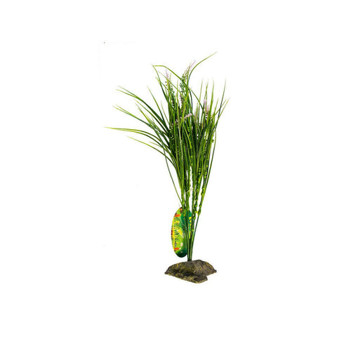 Lucky Reptile Mediterranian Grass - Charterhouse Aquatics