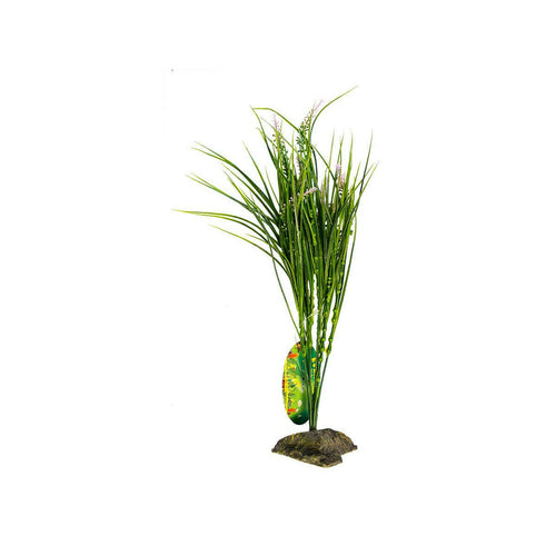 Lucky Reptile Mediterranian Grass - Charterhouse Aquatics