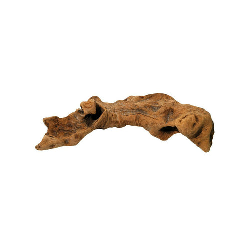 Lucky Reptile Opuwa Wood Medium - Charterhouse Aquatics