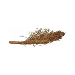 Lucky Reptile Palm Torch 30-40cm - Charterhouse Aquatics