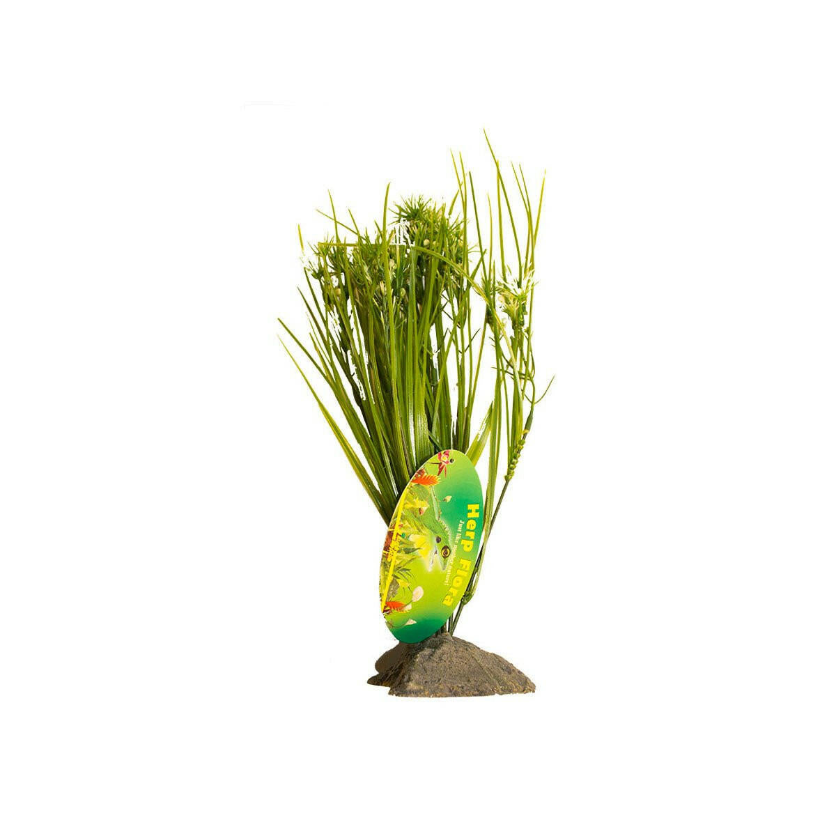 Lucky Reptile Serengeti Grass White Flowers - Charterhouse Aquatics