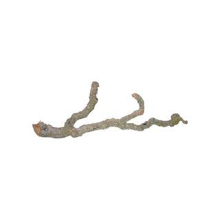 Lucky Reptile Tronchos Branches 60-90cm - Charterhouse Aquatics